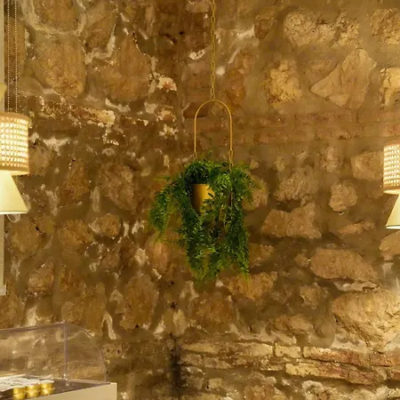 Hotel Plana